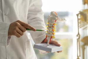 colonna vertebrale
